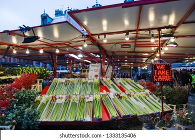 Editorial 12.17.2018 Stockholm Sweden, Amaryllis Flower On A Sale At Hötorget Market On A Winter Day