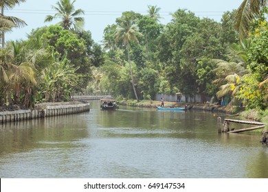 Editorial: ALAPPUZHA, KERALA, INDIA, April 9, 2017 - Man in a blue boat harvesting mangos on the shore of a canal in Alappuzha, while a houseboat is passing