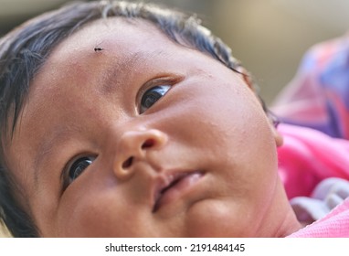 Editorial Use Only; A One Month Old Baby Girl With A Mosquito On It Forehead, Taken At Pathumthani, Thailand, In August 2022.          