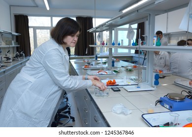 Editorial Use Only. At A School Chemistry Lab, Preparing For Work. Female Lab Assistant Putting Laboratory Supplies On A Bench. Kiev, Ukraine. November 28, 2018