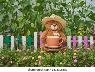 Teddy Bear Flowers High Res Stock Images Shutterstock