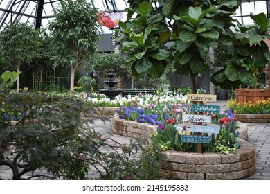 Edmonton, Alberta, Canada - 04-11-2022: Spring Garden Display At The Muttart Conservatory