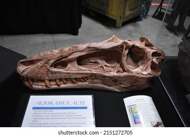 Edmonton, Alberta, Canada - 04-29-2022: Dinosaur Fossil Dimetrodon Alioramus Alti at Jurassic Quest Expo