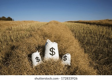 Edmonton, Alberta, Canada; Bags Of Money On A Farm Field