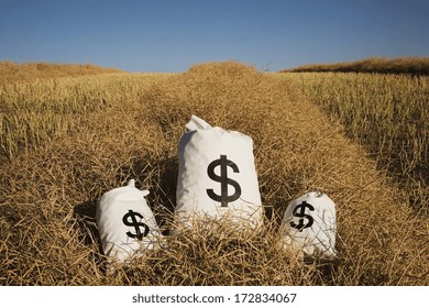 Edmonton, Alberta, Canada; Bags Of Money On A Farm Field