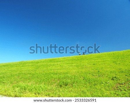 Similar – Image, Stock Photo girl walking in a field with yellow flowers one day