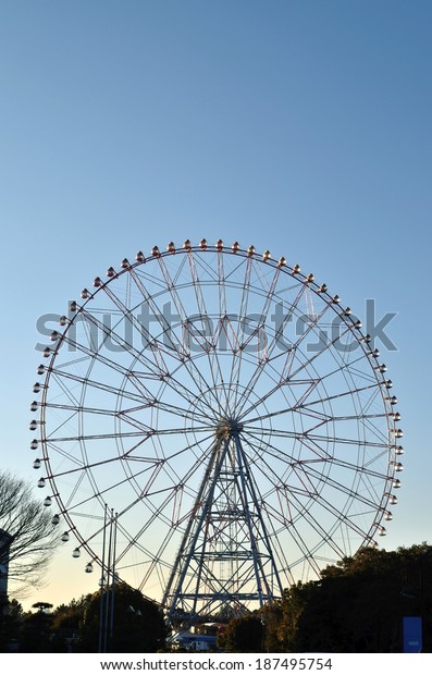 Edogawa Tokyo January 31 Diamond Flower Stock Photo Edit Now