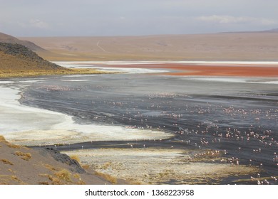 Eduardo Abaroa Andean Fauna National Reserve