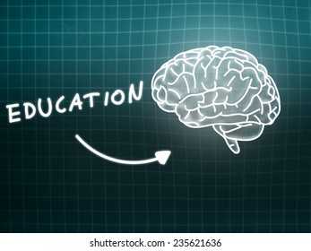 Education brain background knowledge science blackboard turquoise light