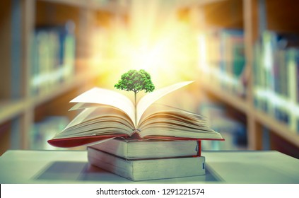 education concept with tree of knowledge planting on opening old big book in library with textbook, stack piles of text archive and aisle of bookshelves in school study class room  - Shutterstock ID 1291221574