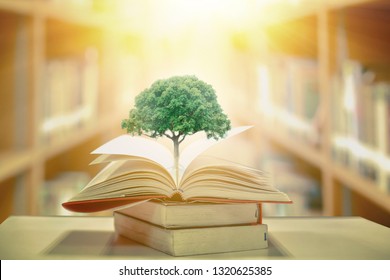education concept with tree of knowledge planting on opening old big book in library with textbook, stack piles of text archive and aisle of bookshelves in school study class room