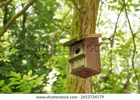 Educational visit in nature featuring a bird aviary suspended from a tree, promoting environmental care and awareness.