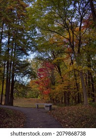 Edwardsville, Illinois USA - November ‎2, ‎2021: Autumn View In The Gardens At SIUE. Botanical Garden On The Campus Of Southern Illinois University Edwardsville.