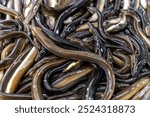 Eels displayed in a market showcasing fresh seafood in a traditional setting