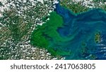 Eerie Blooms in Lake Erie. In July 2019, a severe toxic algal bloom began spreading over the western basin of Lake Erie. Elements of this image furnished by NASA.