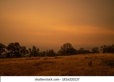 Eerie Smoke Filled Sky Over The Sierra Foothills Grasslands 