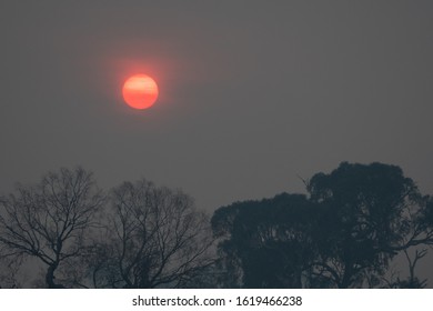 An Eerie Sunrise Through Bushfire Smoke Haze On The Outskirts Of Bathurst.