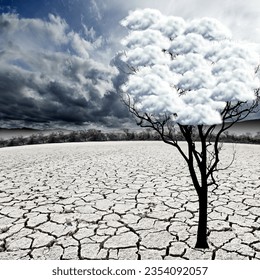 Eerie Tree in Barren Landscape covered in clouds in cloudy sky background