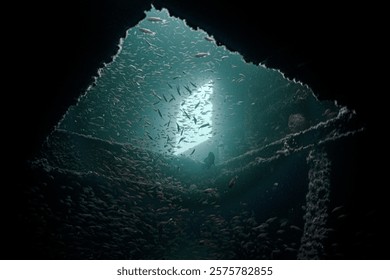 An eerie underwater view of the HMAS Brisbane shipwreck, shrouded in dim light with haunting marine life silhouettes, creating a ghostly and unsettling atmosphere.