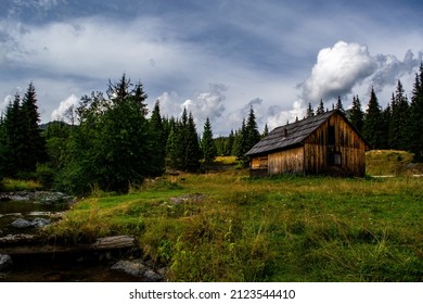 An eerie view of a lonely wooden hut in the middle of the forest