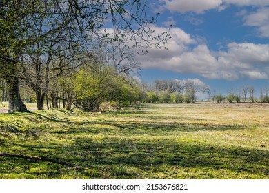 Eexterveld nature reserve in spring between Anderen and Eext tree-covered ring wall around the source of the Scheebroekerloopje in early spring with contrasting light and budding trees - Shutterstock ID 2153676821