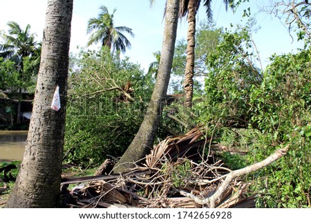 effect of amphan cyclone. trees are fallen off, road is blocked, water logged condition, house are broken down in villages