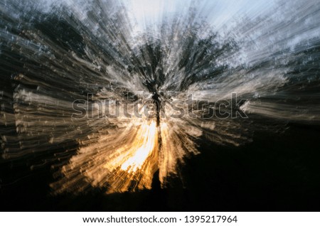 Similar – Image, Stock Photo In the pine forest trees are burning