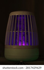 Effective bug zapper using purple UV light to attract and eliminate mosquitoes. Close-up of the electrified grid with trapped insects, providing a solution for pest-free environments.