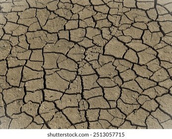 Effects of drought and climate change