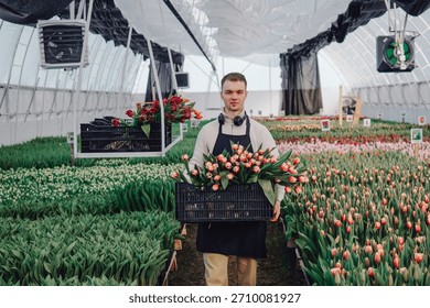Efficient flower packaging, Checking tulip bundles thoroughly for seamless delivery readiness, Young worker carefully arranges and inspects tulip bundles ensuring smooth shipping process