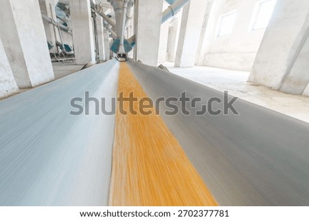Efficient grain distribution with under-silo conveyor system transporting wheat in a production facility