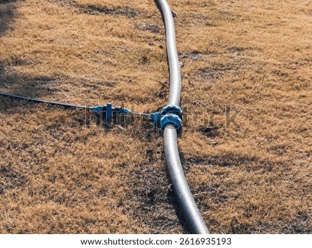 Efficient Irrigation System on Dry Grass: A Focus on Sustainable Water Use  