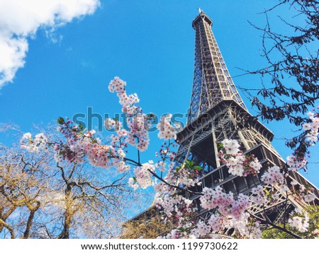 effiel tower with sakura