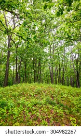 Effigy Mounds National Monument