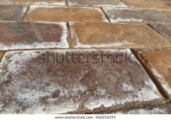 Efflorescence on the\
modern concrete parking\
tiles