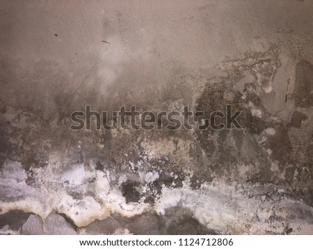 Efflorescence on the wall.