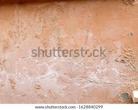 Efflorescence on Wall damaged Plaster