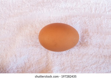 Egg