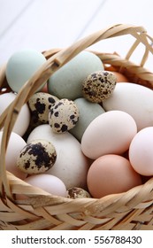 egg
