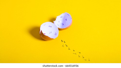 Egg