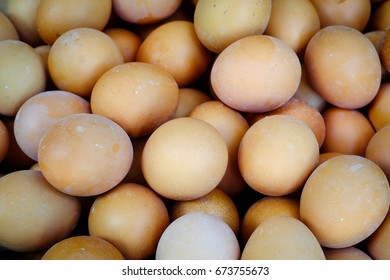 Egg.