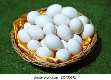 egg in basket