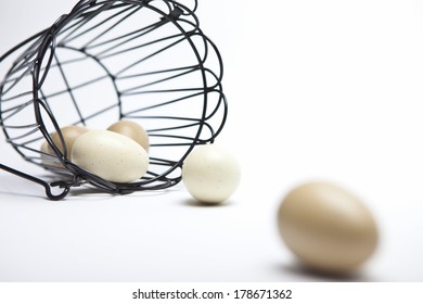 Egg Basket