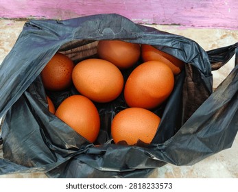 An egg is the beginning of life.