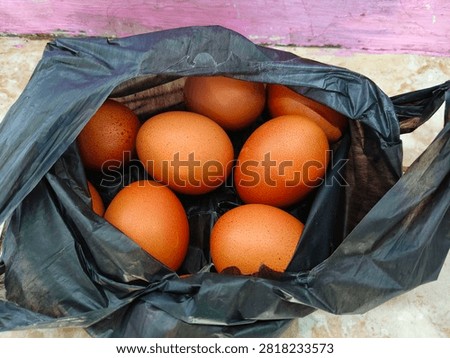 An egg is the beginning of life.