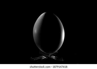 egg with black background and shadow