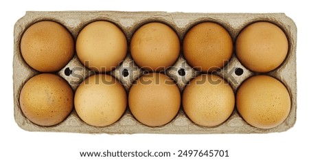 Egg box with ten brown eggs isolated, top view