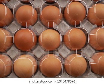 Egg in a box,eggs pack
