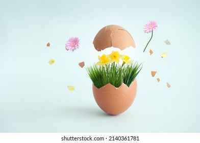 Egg Breaking Open With Spring Grass And Flowers Bursting Out Of Shell