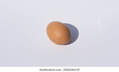 An Egg with a Brown Shell Casting a Light Shadow